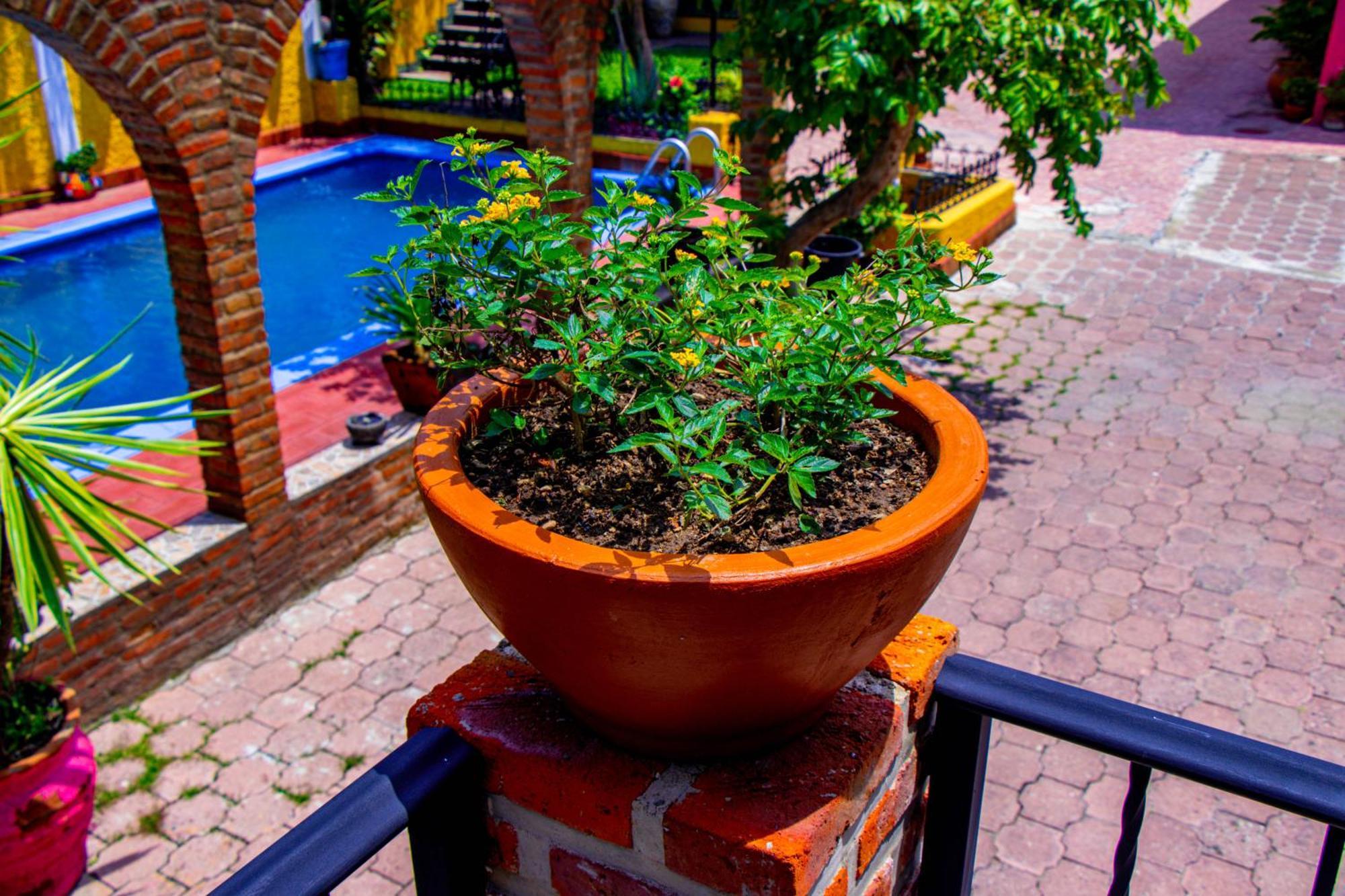 Posada Las Margaritas Tlaquepaque Esterno foto